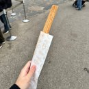 성공카랜드 | 29개월 아기랑 에버랜드 오픈런부터 퍼레이드까지 월요일 눈치게임 성공 후기