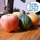 숲속작은나라 이미지