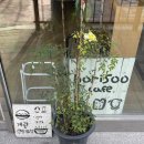 보리수 | 보문역카페 &lt;보리수&gt; 주말 웨이팅 후기 (샌드위치 토마토스프 맛집)