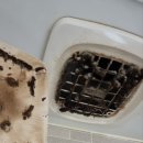 수원-2019 | 수원 금곡동 아주리센테라스파크 2019년식 구축 입주청소 후기｜미리클린 실제 작업 사례