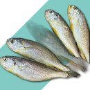 주식회사 팜2팜 이미지