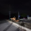 천지목장 | 너무 묵힌 나머지 상할 지경인 베트남 나트랑 여행 후기 (1️⃣탄)