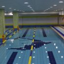 닥터마린키즈수영장 이미지