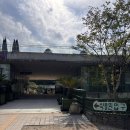 항아리식물원 | 10개월 아기랑 가볼만한 곳 |성남 신구대학교 식물원 방문 후기