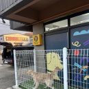 워킹앤워킹 애견유치원&애견호텔 이미지