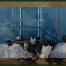 성류굴 관광지 이미지