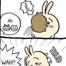 3월에우사기