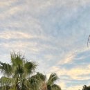 성미목장 이미지