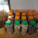 샬롬식당 이미지