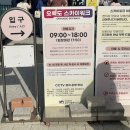 바다풍경(오륙도) | 부산 오륙도 스카이워크 바다 전망 명소 추천