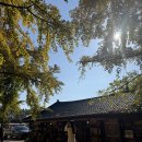 보령 나들이 2코스 이미지