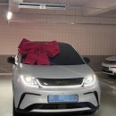 BYD 돌핀 출고 후기 및 과정, 실구매가 가격 " 대기 기간 1개월 만에 출고했어요!"