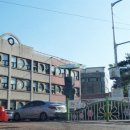 영월초등학교 Daum카페