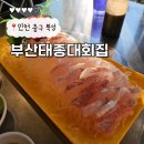태종대회집 | 내돈내산 인천 월미도 횟집 가성비 맛집 바다뷰 부산태종대회집