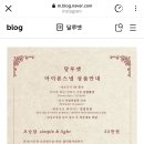 업체 비교 총정리 (feat. 고민의 연속)_모노앤디,메아로사,더노트,플로브,엘스스냅,미레스냅,오어슬리스냅