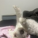 나엘컴퍼니 | 2월