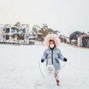 영암곤충박물관 이미지