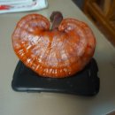 생강고을목욕탕 이미지