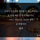 (급벙)11월4일월요일밤9시30분괴정동☆황금바다수산☆ 이미지
