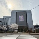 GS25 의정부송산역점 | 웨딩 가전 준비! LG전자 베스트샵 신세계 의정부점 방문 후기 (베스트 79 페스타 세일, E-순환페스티벌)