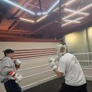 카운터복싱 | 동탄복싱 내 인생의 터닝포인트, 카운터복싱 반송점 후기