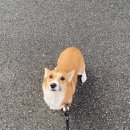 광교산동물병원 이미지