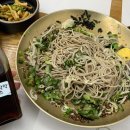 문갑도 마을공동체 영농조합법인 | 아이와 함께, 부모님 모시고 가기 좋은 ‘한라산아래첫마을’ 비비작작면 솔직후기(ft. 예약 꿀팁)
