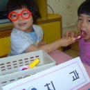 윤수영치과 Daum카페