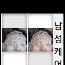 쁘리띠테라피