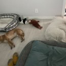 밀양소풍펜션 이미지