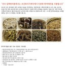 일맥한의원 네이버블로그