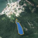 돌산읍사무소 이미지