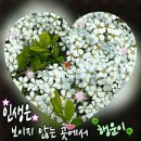 청암순대 이미지