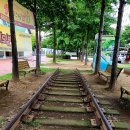 대구선동촌공원 이미지