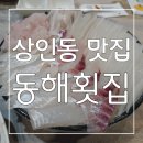 동해횟집 | 달서구 진천동 맛집, 술집으로 유명한 자연산을 맛볼 수 있는 월성동 횟집 동해횟집 후기