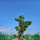 중촌근린공원 공중화장실 이미지