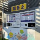 종합운동장 인라인스케이트장 | 완벽 비교! 엑스포 시민광장 스케이트장 vs 유성 어린이 눈썰매장 솔직 후기(이용팁, 다자녀혜택 및...