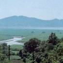 무주읍166 이미지