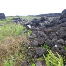 한동환해장성 이미지