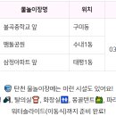 금광동 물놀이장 이미지