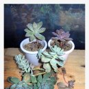 서운우체국 이미지