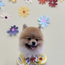 브루하하유치원 이미지