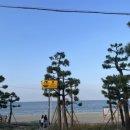 경포J펜션