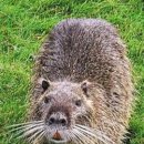 눈늪목장 이미지