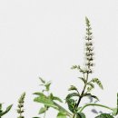 양생한의원 이미지