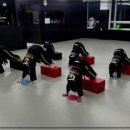 투혼길라잡이 | 구미 합기도가 궁금하다면? 투혼길라잡이에서 제대로 배워봤어요!