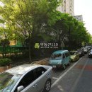 분당-299 이미지