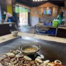 통당구장 이미지