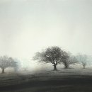 山川에서 이미지