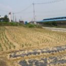 송해면-5 이미지